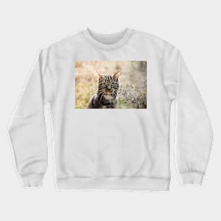 Animal Images Crewneck Sweatshirt